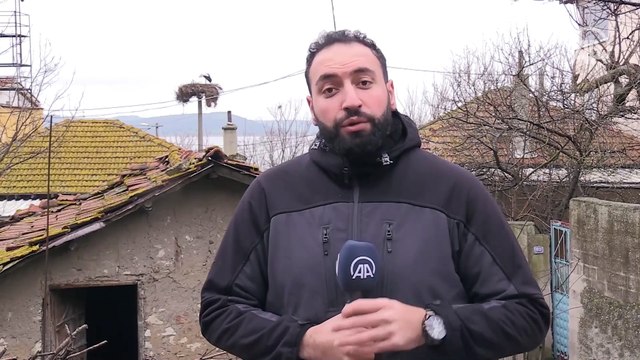 Yaren leylek 11'inci göç yılında Uluabat Gölü manzaralı yuvasına yerleşti