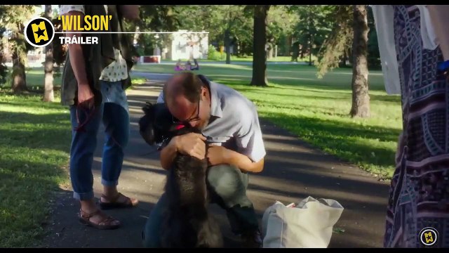 Laura Dern, Woody Harrelson Interview : Wilson