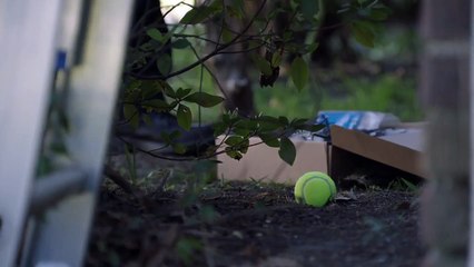 Mr. Mercedes Teaser VO