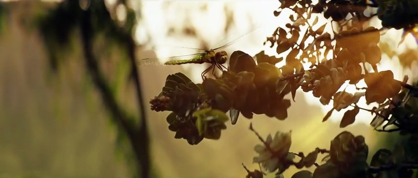 Kong: La Isla Calavera Tráiler VO