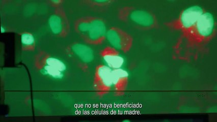 The Immortal Life of Henrietta Lacks Tráiler (2) VO