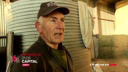 Capital (M6) Petits revenus ou grosses fortunes : combien gagnent vraiment les agriculteurs