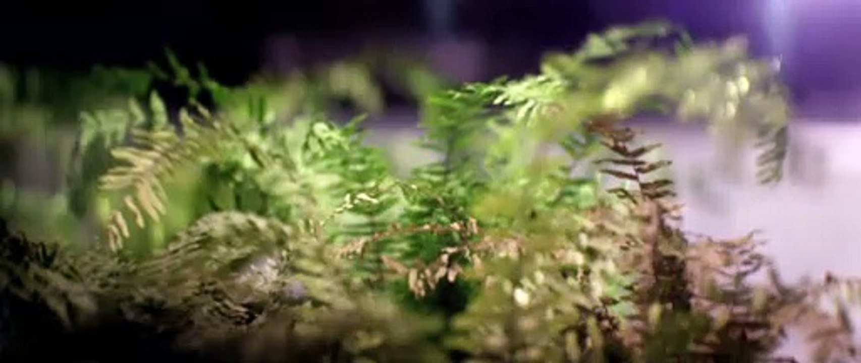 Transcendence Trailer (4) DF