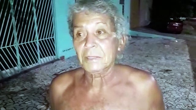 Cachorra de rua tem nove filhotes em casa de morador; homem faz doação dos cachorrinhos