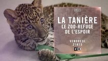 La Tanière, le zoo-refuge de l’espoir (C8) bande-annonce