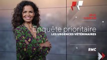 Enquête prioritaire (rmc story) Les urgences vétérinaires