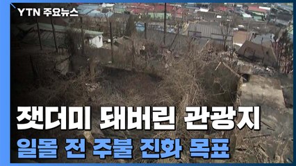 잿더미 돼버린 동해 관광지..."해지기 전 주불 진화 목표" / YTN