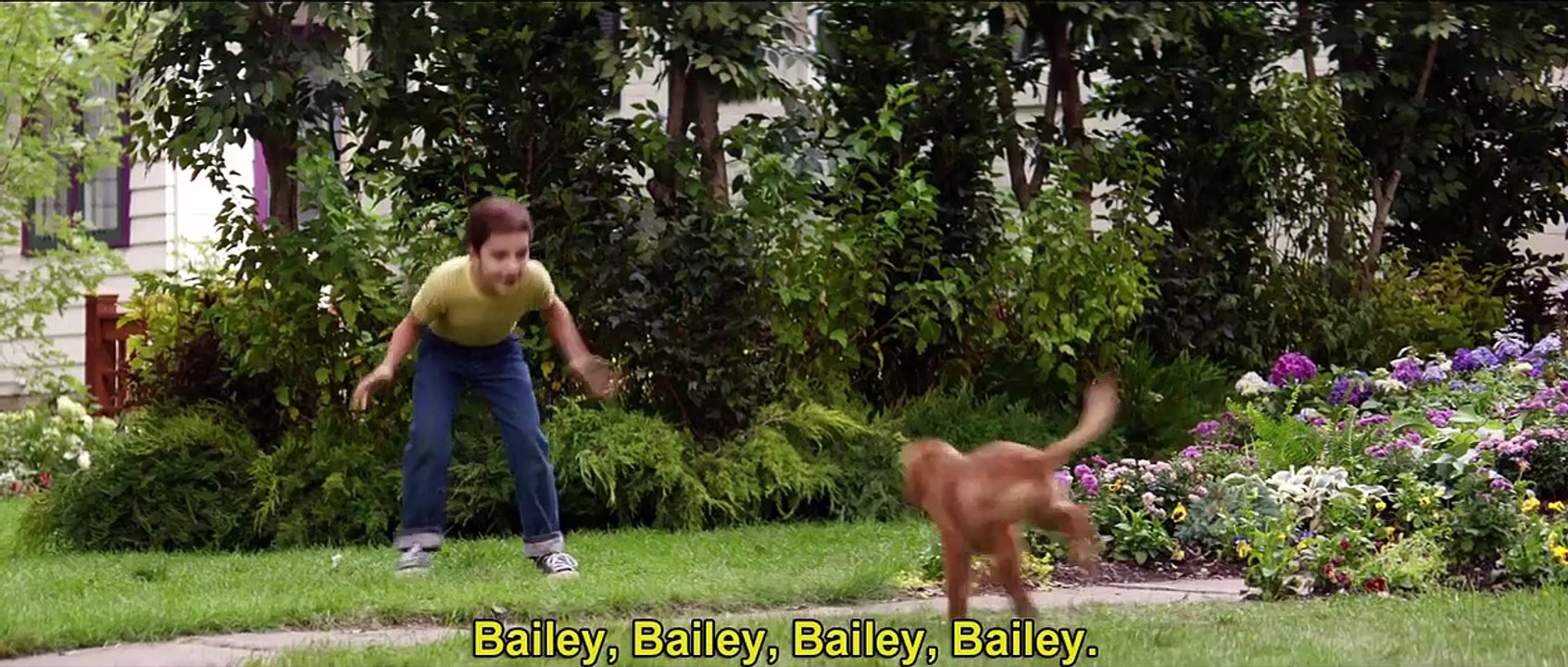 Quatro Vidas de um Cachorro Comercial de TV (1)...