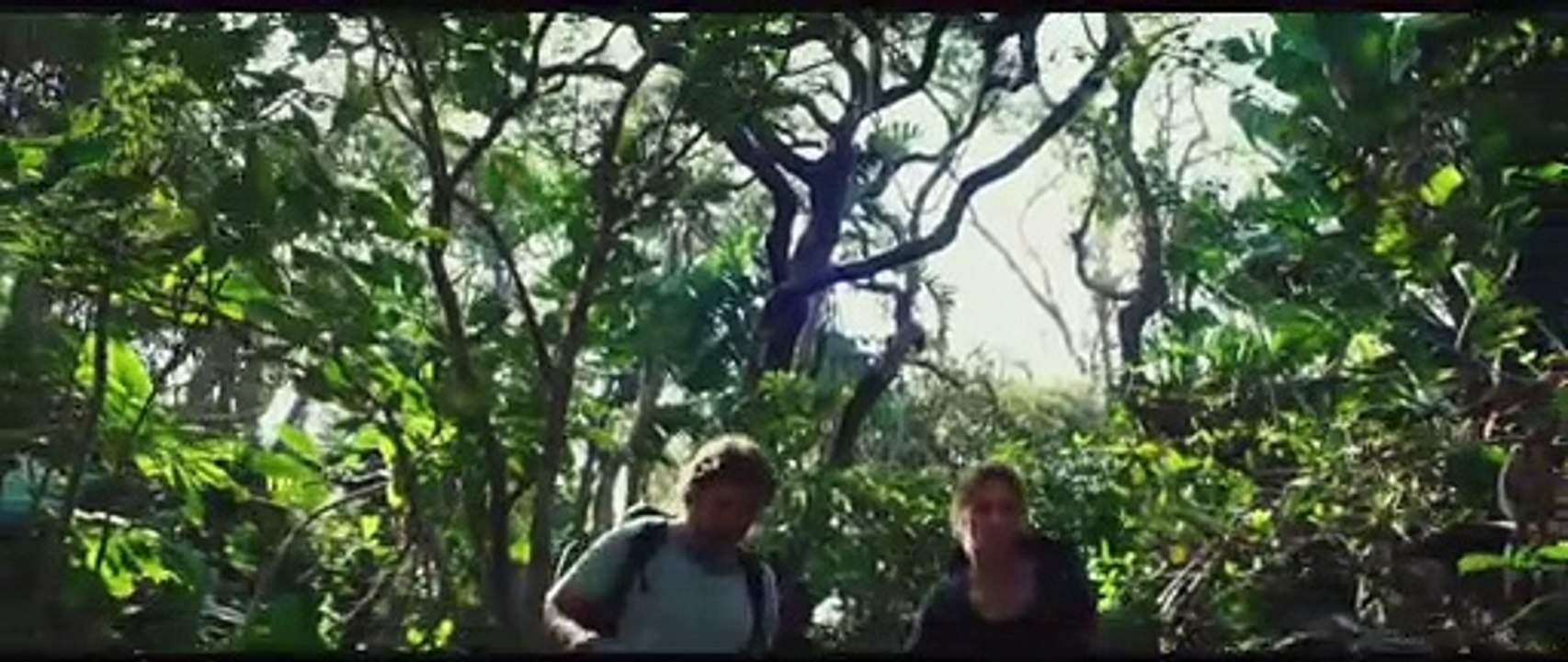 The Last Face Trailer Original
