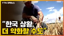 [자막뉴스]우크라이나 침공 여파 '비명'...