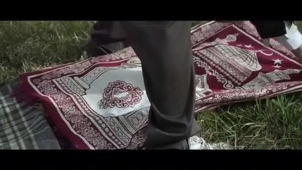 Camino a la Paz Tráiler