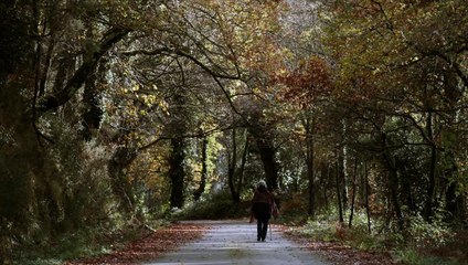 A palabra xusta Tráiler VO