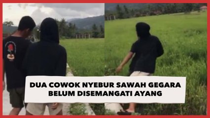 14 Juta Kali Ditonton Dua Cowok Nyebur Sawah Gegara Belum Disemangati Ayang