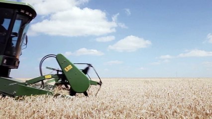 Dead Donkeys Fear No Hyenas Trailer Original