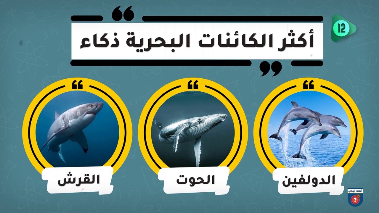 إذا تجاوزت المرحلة الأخيرة فعلم أنك عبقري وشديد تركيز