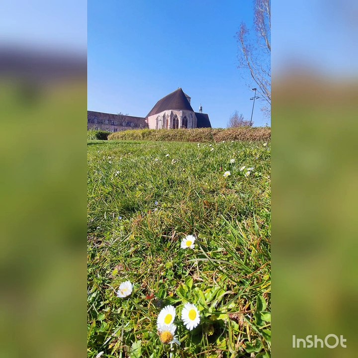 Lundi 7 mars rando douce super am avec le solei...