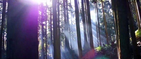 Viaje a Nara (Vision) Teaser VO