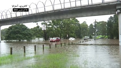 Скачать видео: المياه تغمر طرقات في ضواحي سيدني