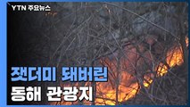 강릉·동해 산불 나흘째...오늘 안에 주불 진화 가능할까 / YTN