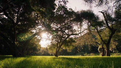 Camping (2018) Tráiler VO