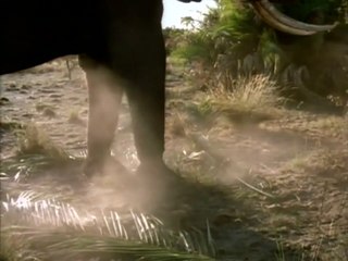 Aventura elefantástica Tráiler VO