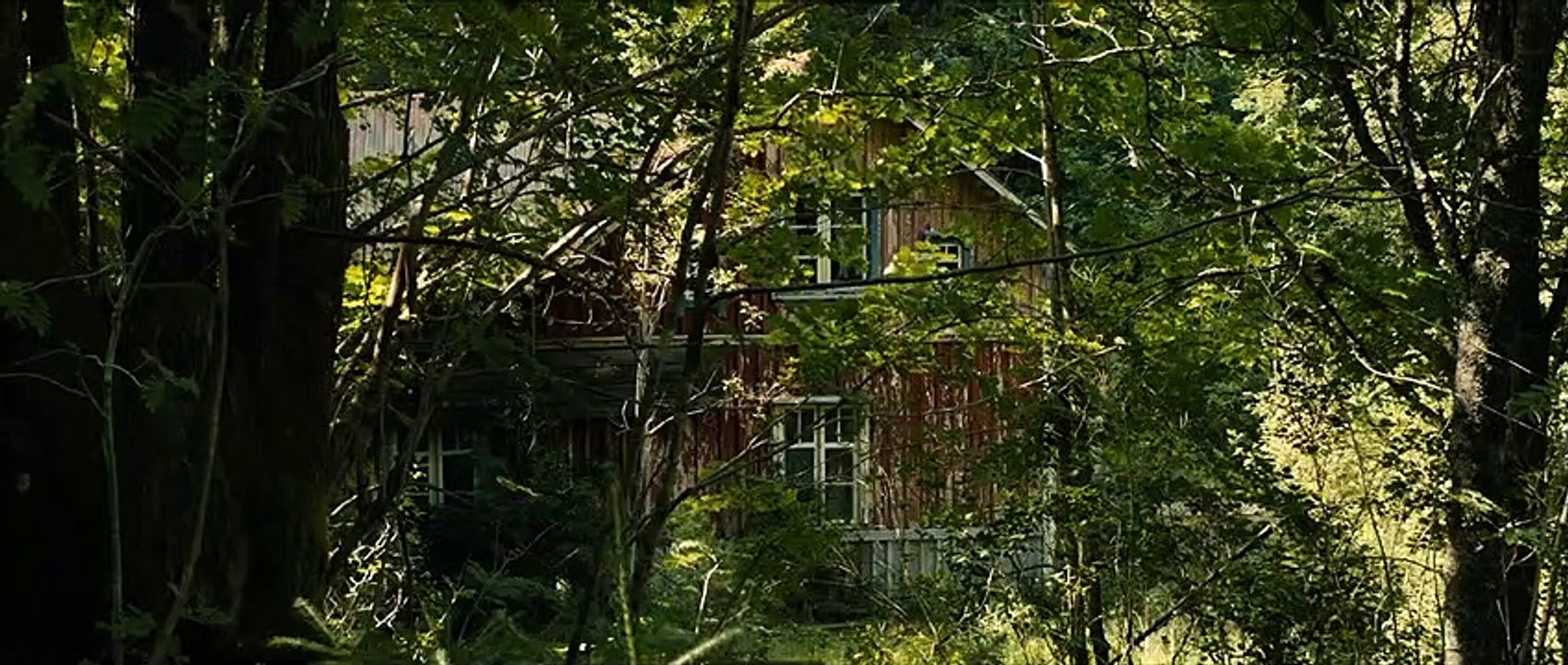 Na Floresta Trailer Original