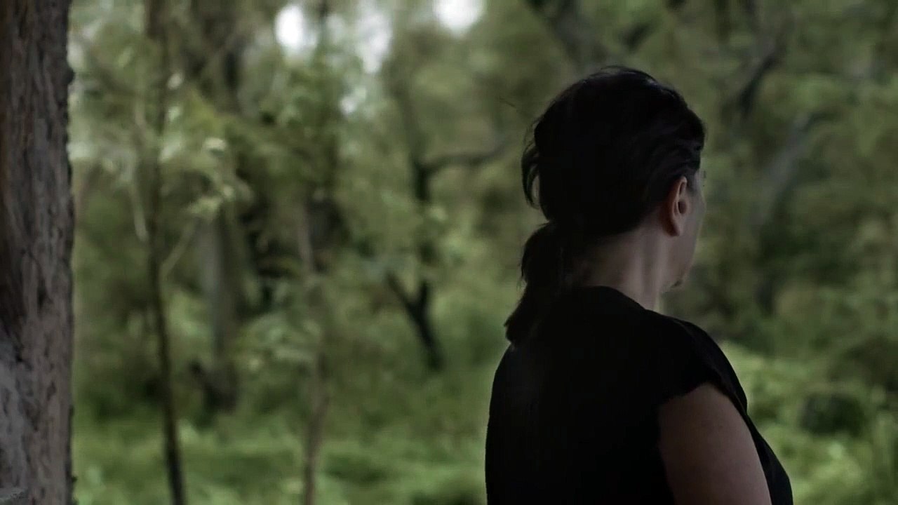 O Limoeiro Real Trailer Original