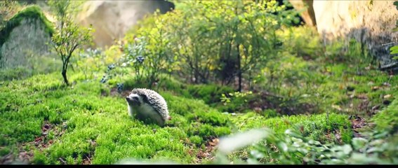 La pequeña bruja Tráiler