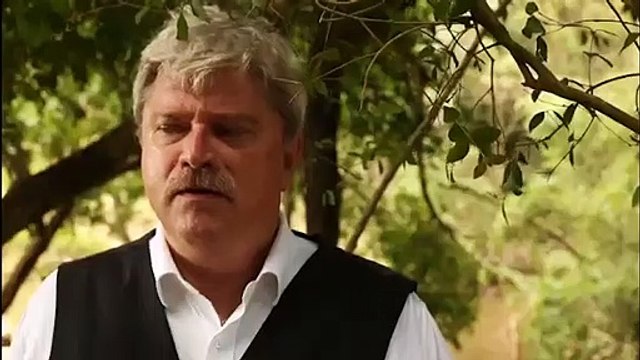 Histórias & Estórias Trailer