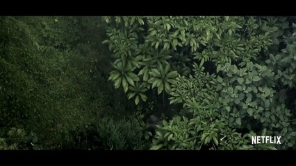 Distrito Salvaje Tráiler (2)