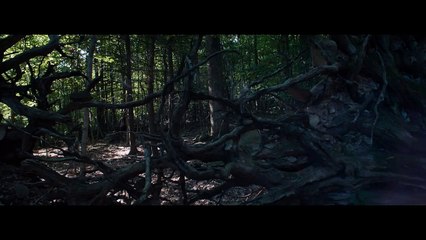 Ao Cair da Noite Trailer (2) Legendado