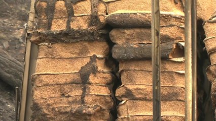 꿀벌농장도 송이 서식지도 불에 타...생계 막막한 농민들 / YTN