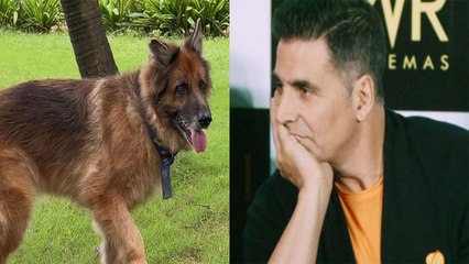 Akshay Kumar पर टूटा दुखों का पहाड़, नहीं रहा doggy Cleo | FilmiBeat