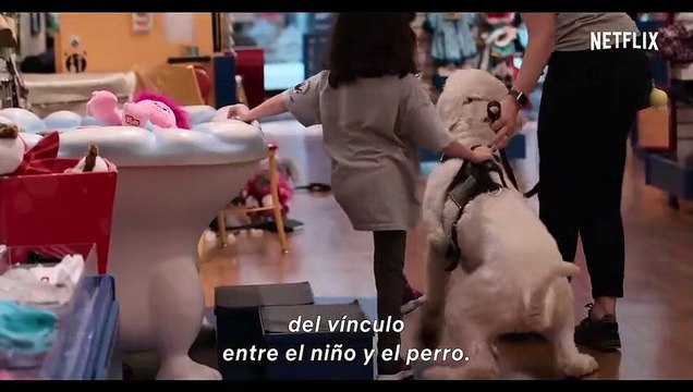 Amigos caninos Tráiler VO
