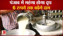 Price Of Milk Can Be Increased In Punjab| पंजाब में महंगा होगा दूध,6 रुपये तक बढ़ेंगे दाम|Milk Price