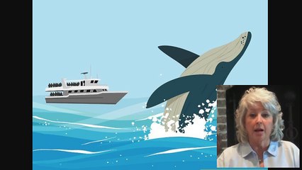 How to Save Blue Whales