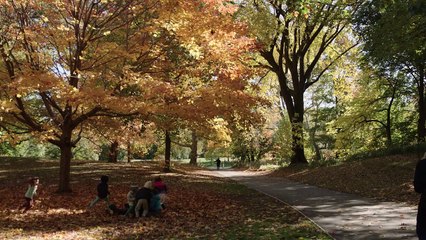 Humans of New York 1ª Temporada Trailer Original