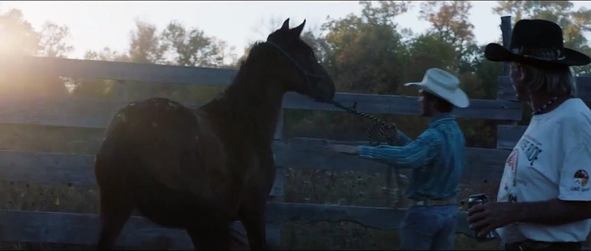 The Rider Clipe Original