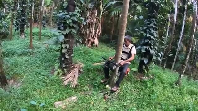 Un agricultor indio fabrica un scooter para trepar por los árboles y subir 20 metros de altura en cinco segundos