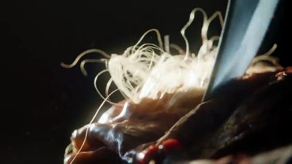 The Walking Dead - temporada 9 Teaser (3) VO