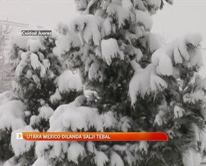 Utara Mexico dilanda salji tebal