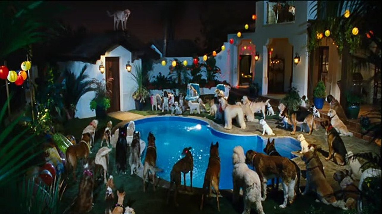 Marmaduke Videoclip DF