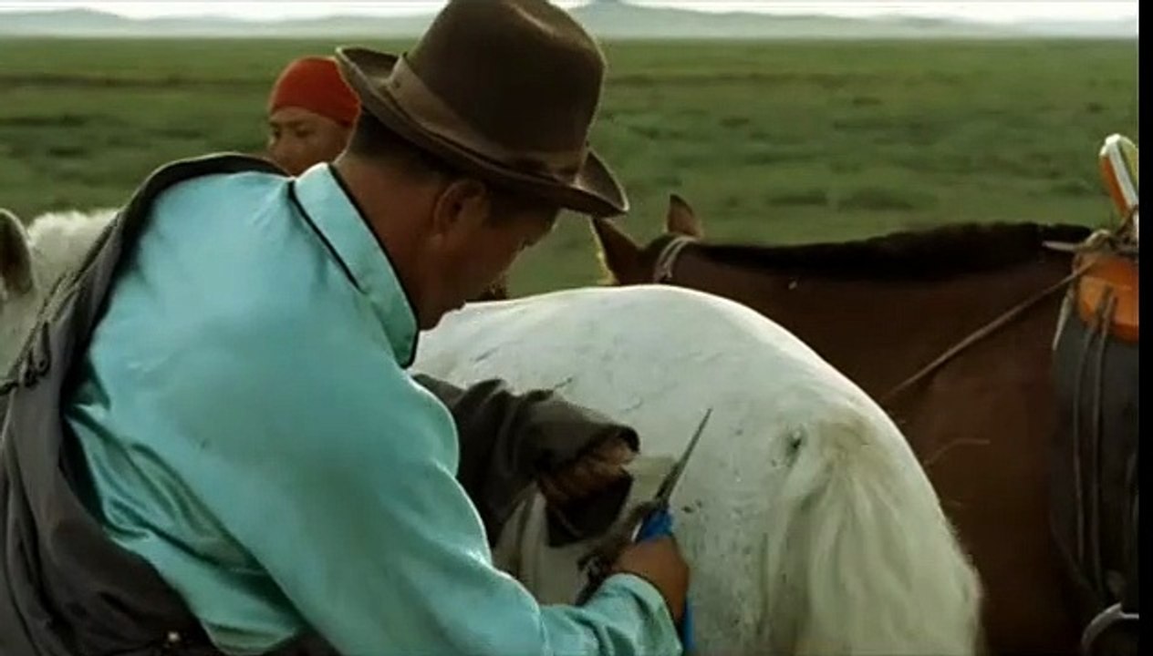 Das Lied von den zwei Pferden Trailer DF