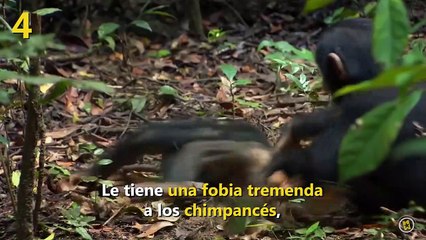 10 cosas que (quizá) no sabías de Tim Burton