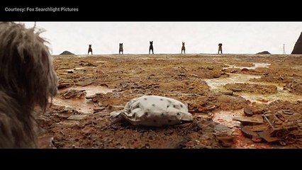 Ilha dos Cachorros Clipe Original