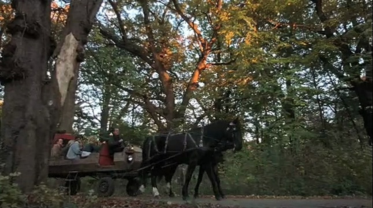 College Vampires Trailer OV