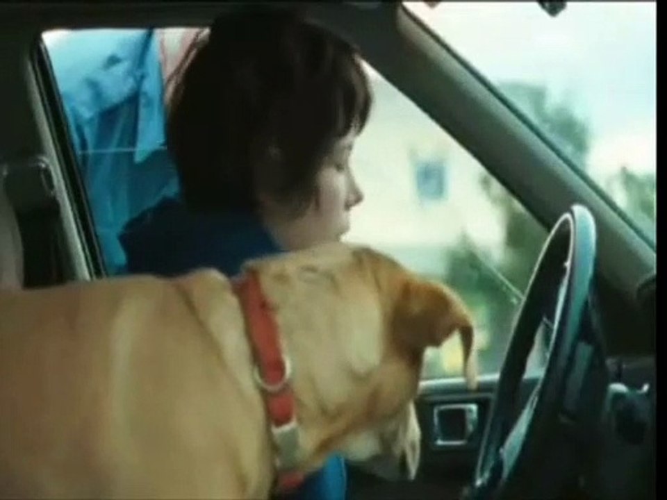 Wendy and Lucy Trailer DF