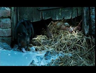 Tannöd Videoclip (5) DF