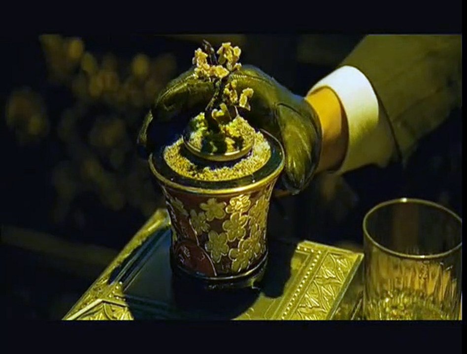 The Good, The Bad, The Weird Videoclip (4) DF