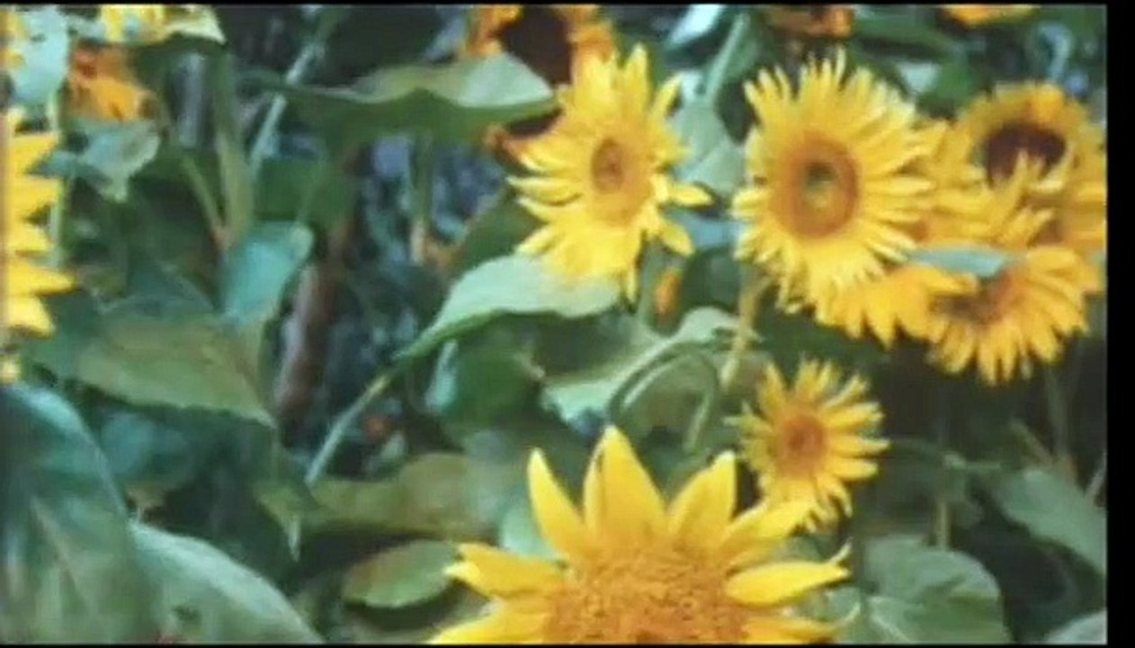 Be With You Trailer DF